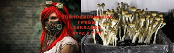 бошки Абаза