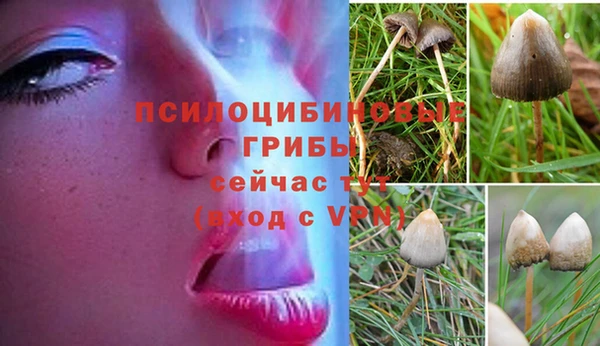 амфетамин Абинск