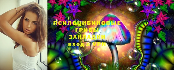 бошки Абаза