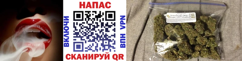 Конопля сатива  где можно купить наркотик  Тотьма 